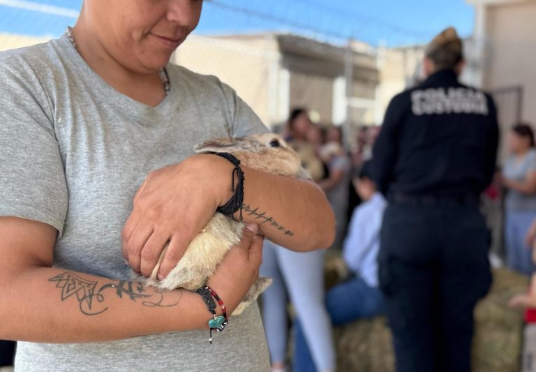 WhatsApp Image 2025-04-29 at 1.24.16 PM