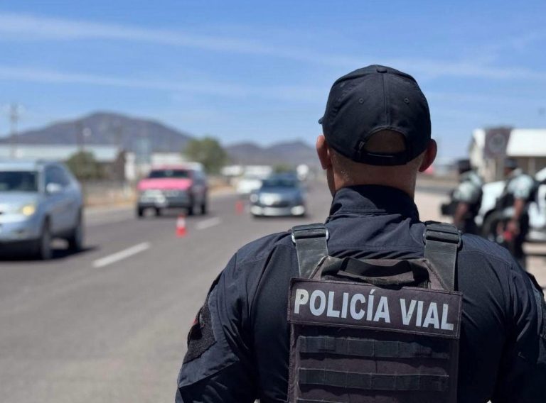 WhatsApp Image 2025-05-01 at 11.55.25 AM