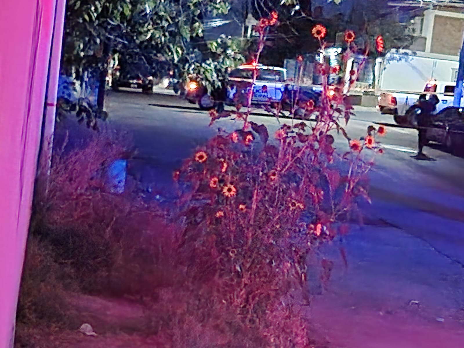 WhatsApp Image 2025-06-03 at 9.00.14 PM